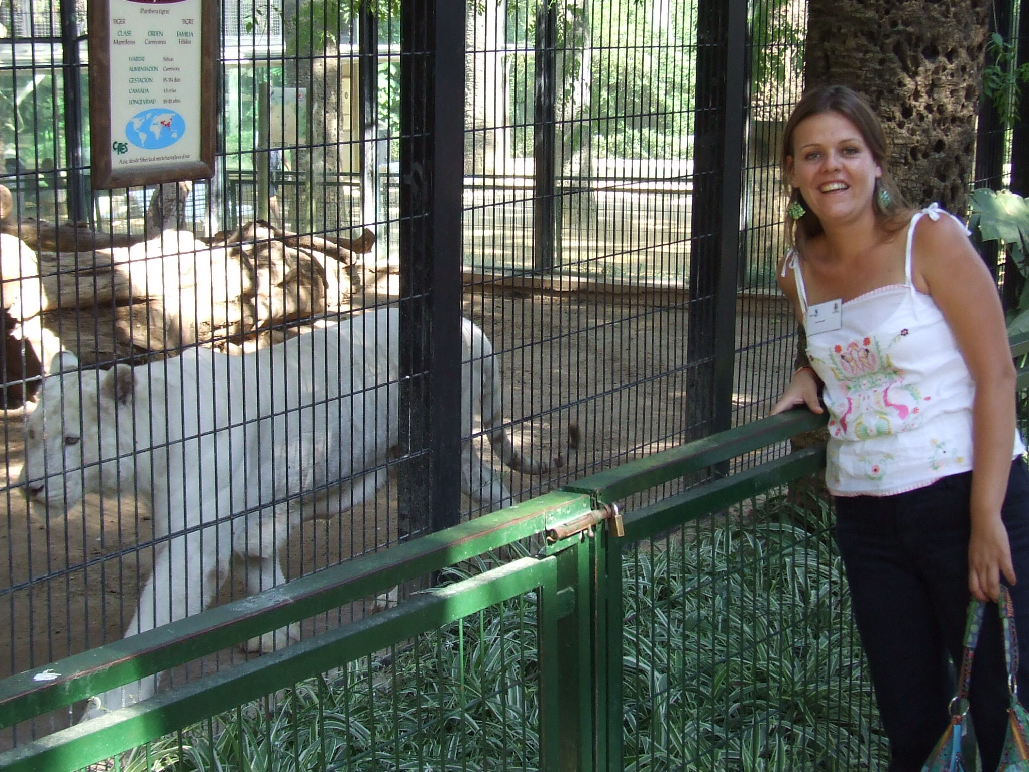 Ana e o tigre